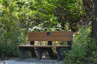 bench bench