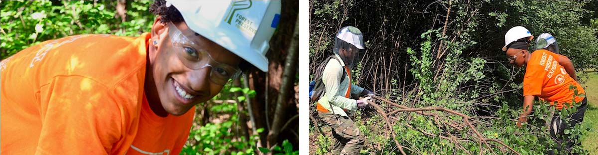 Forest Preserve Experience crew members cut buckthorn