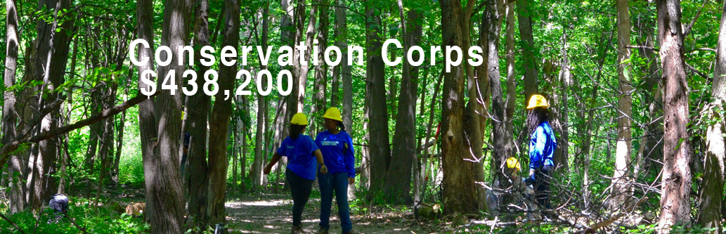 Impact-ConservationCorps