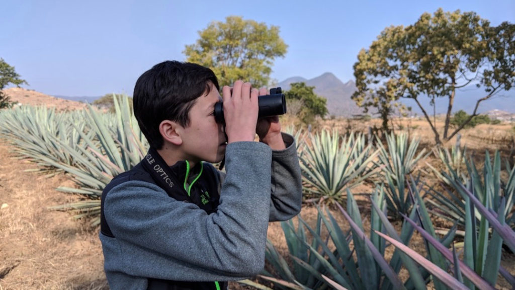 Evanston Birder Isoo O'Brien