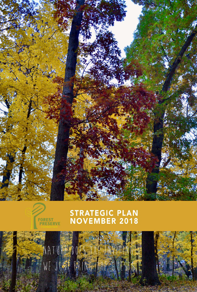 Strategic Plan 2018