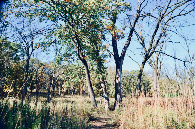 Volunteer stewards are essential to maintaining the beauty of Ted Stone Preserve