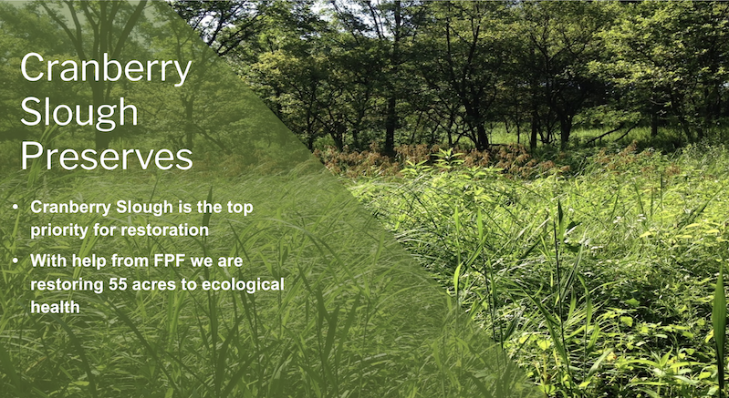 Cranberry Slough restoration