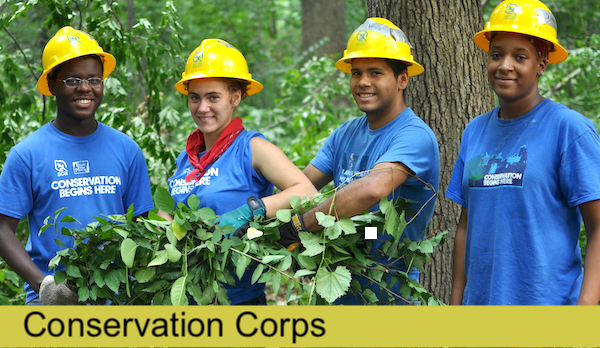 Impact-ConservationCorps Conservation Corps