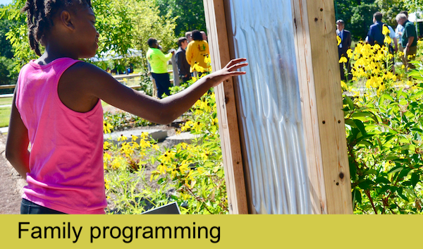 Impact-FamilyProgramming family programming