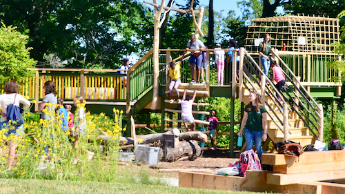 dan ryan woods nature play