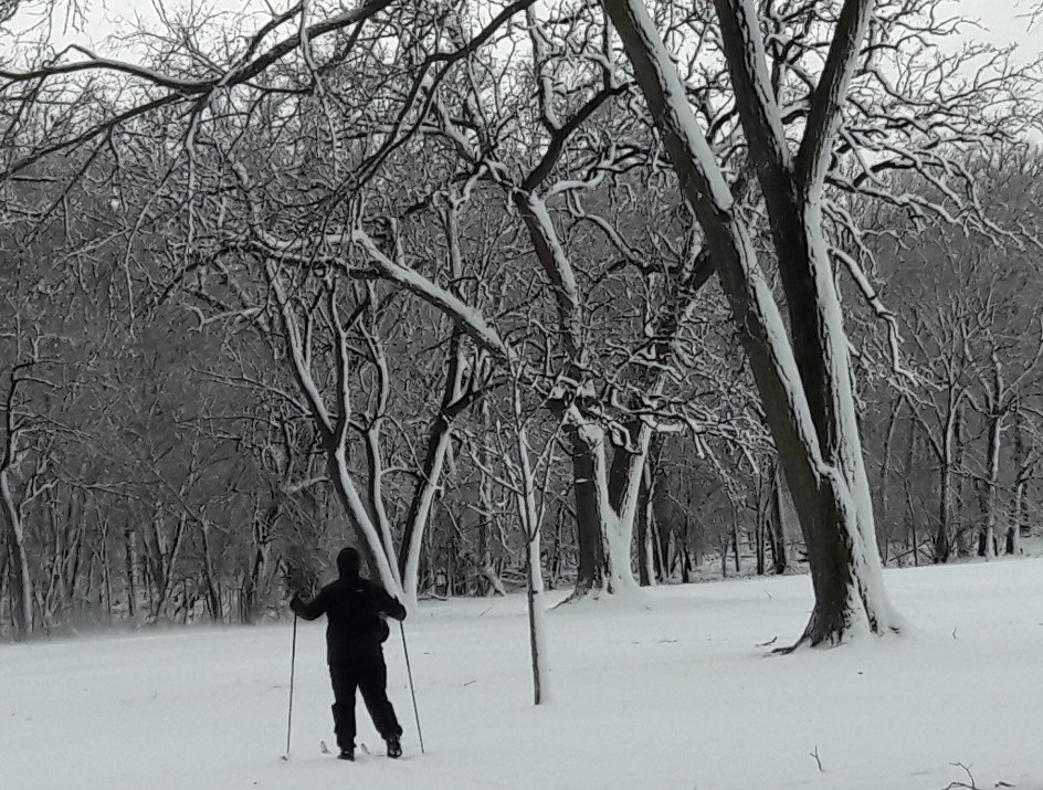 cross country skiing