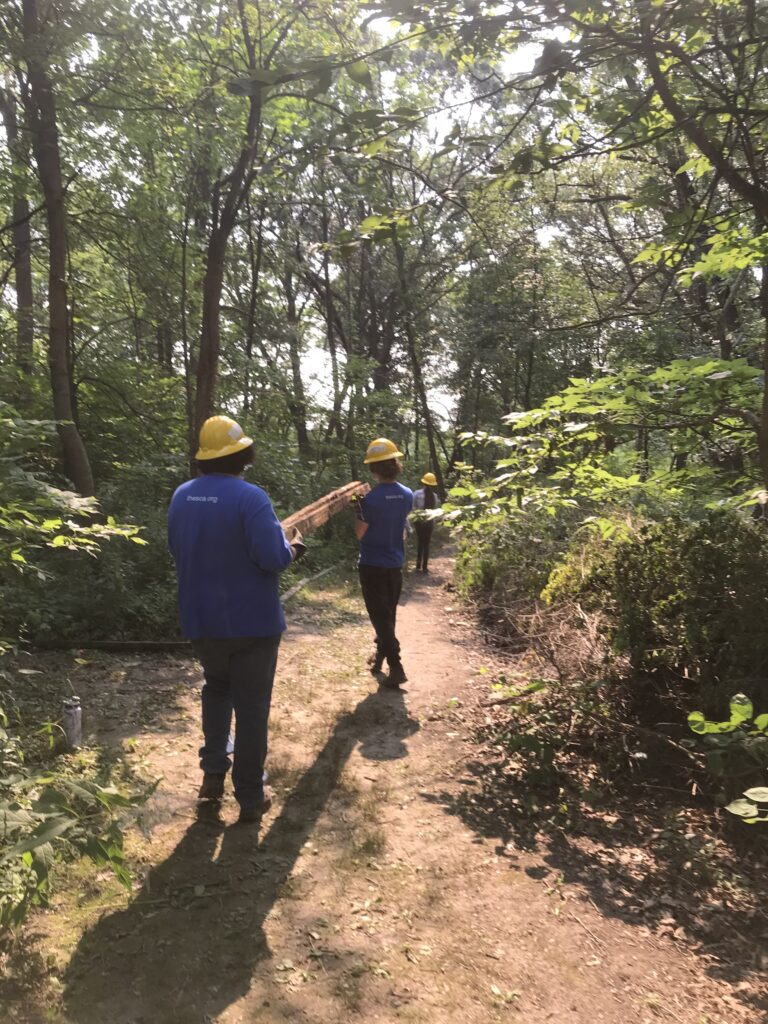 2 young adults carry a long piece of wood between them to improve trails on a pretty backlit trail in a forest preserve